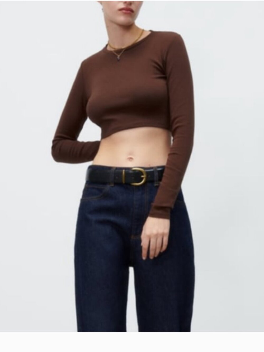 Zara Brown Long Sleeve Crop Top Small